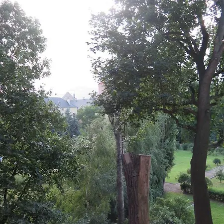 Boomerang